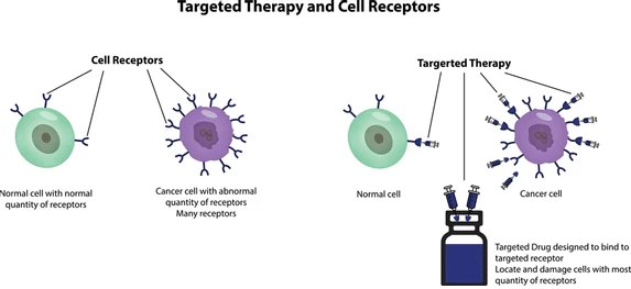 Targeted Therapy