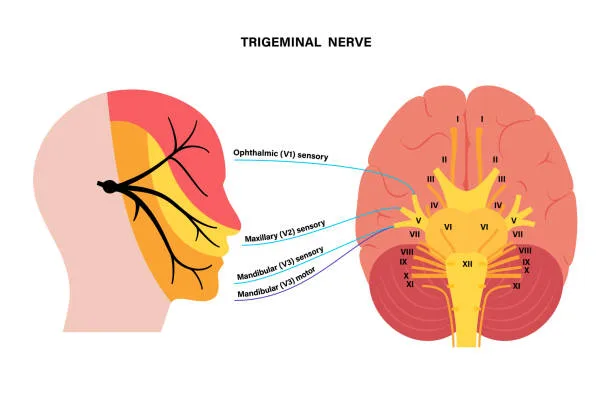 Trigeminal Neuralgia | Gurneet
