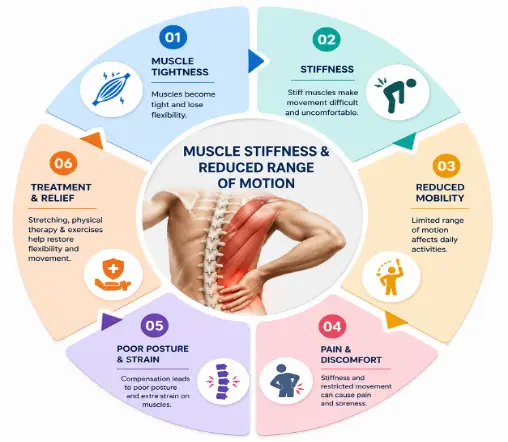 common Picture 6 | Gurneet Circular infographic about muscle stiffness and reduced range of motion; six labeled sections (Muscle Tightness, Stiffness, Reduced Mobility, Pain & Discomfort, Poor Posture & Strain, Treatment & Relief) surrounding a torso/spine illustration in the center.
