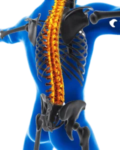 3d-medical-man-with-skeleton-spine-highlighted-removebg-preview | Gurneet