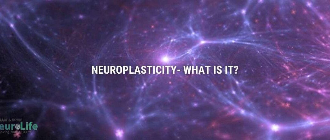 Neuroplasticity