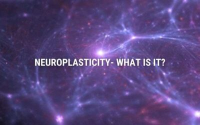 Neuroplasticity – Everything You Need To Know