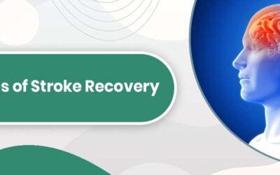 The 7 Stages of Stroke Recovery