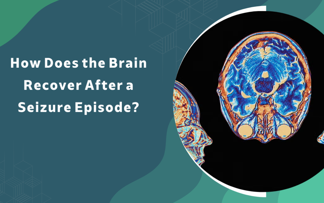 How Does the Brain Recover After a Seizure?