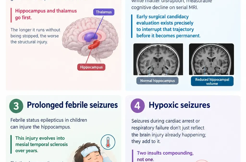 Informational infographic about how seizures affect the brain: sections on status epilepticus, recurrent uncontrolled seizures with MRI brain images, prolonged febrile seizures showing a sleeping child, and hypoxic seizures with a brain diagram; bottom note: earlier intervention can protect the brain.