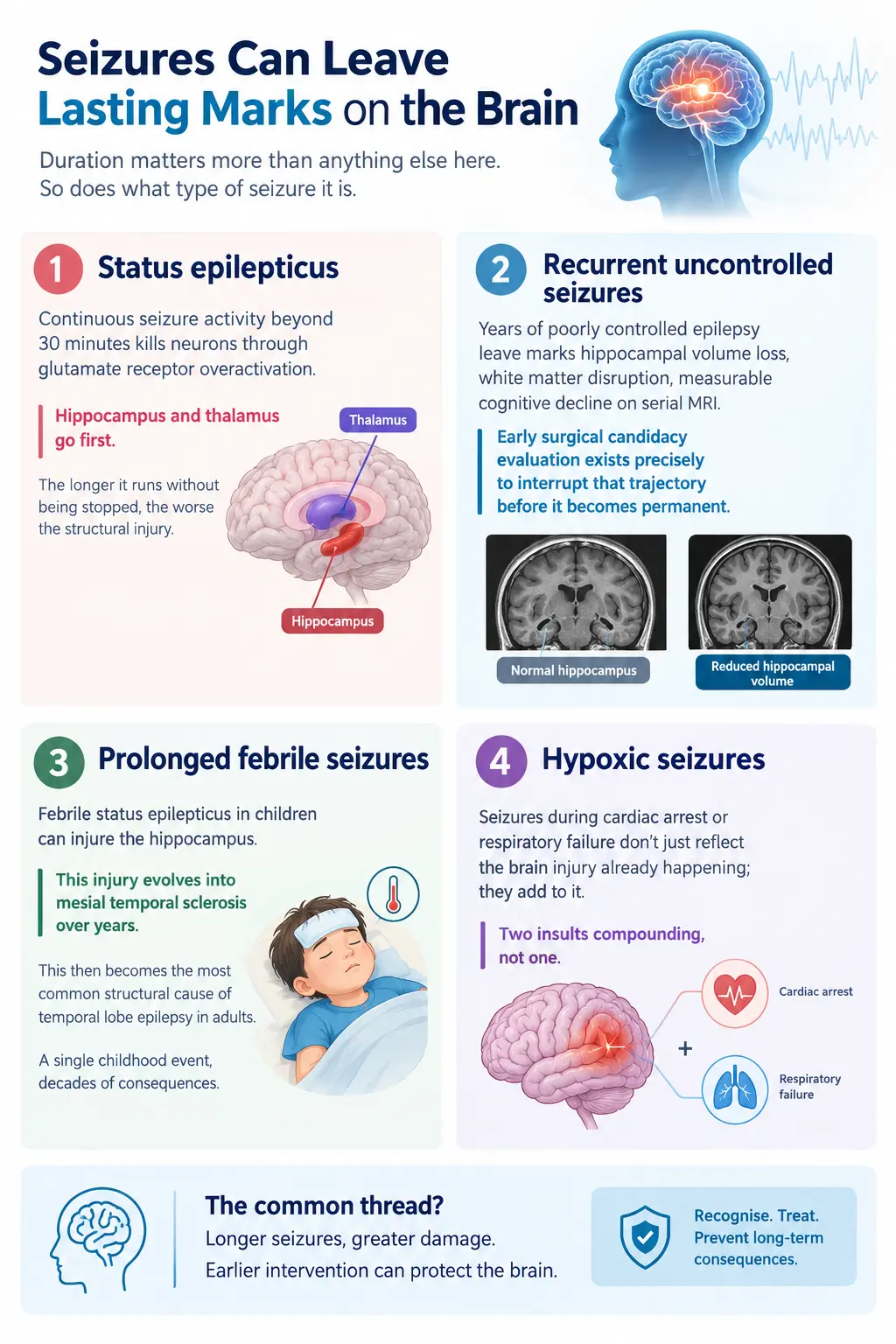 Seizures and Lasting Brain Impact 1 | Gurneet Informational infographic about how seizures affect the brain: sections on status epilepticus, recurrent uncontrolled seizures with MRI brain images, prolonged febrile seizures showing a sleeping child, and hypoxic seizures with a brain diagram; bottom note: earlier intervention can protect the brain.